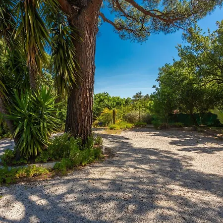 Le Petit Ramsès 3*